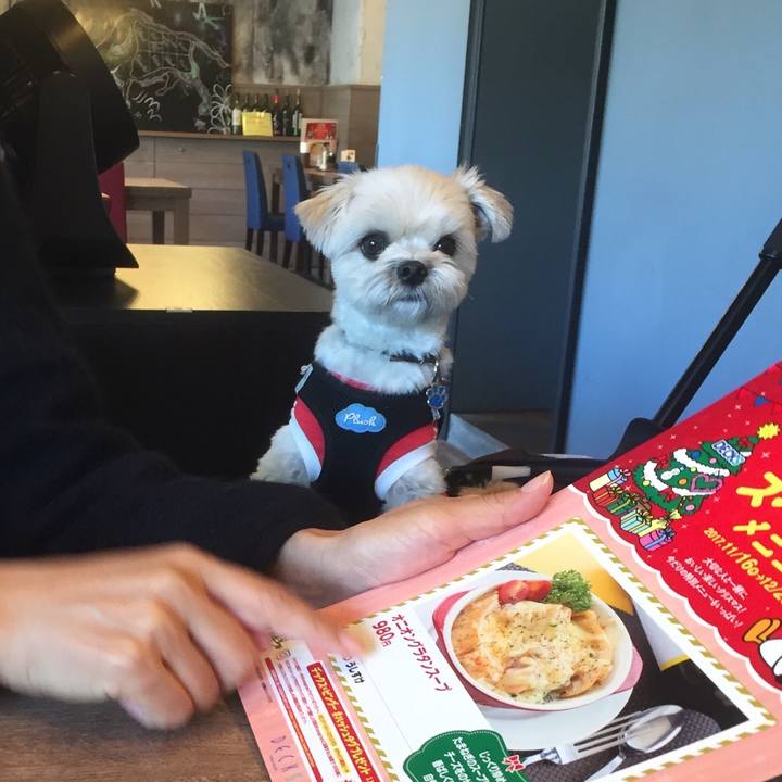 0693b1ff e2e8 415f 8662 98747c5d31f0 1512215805711