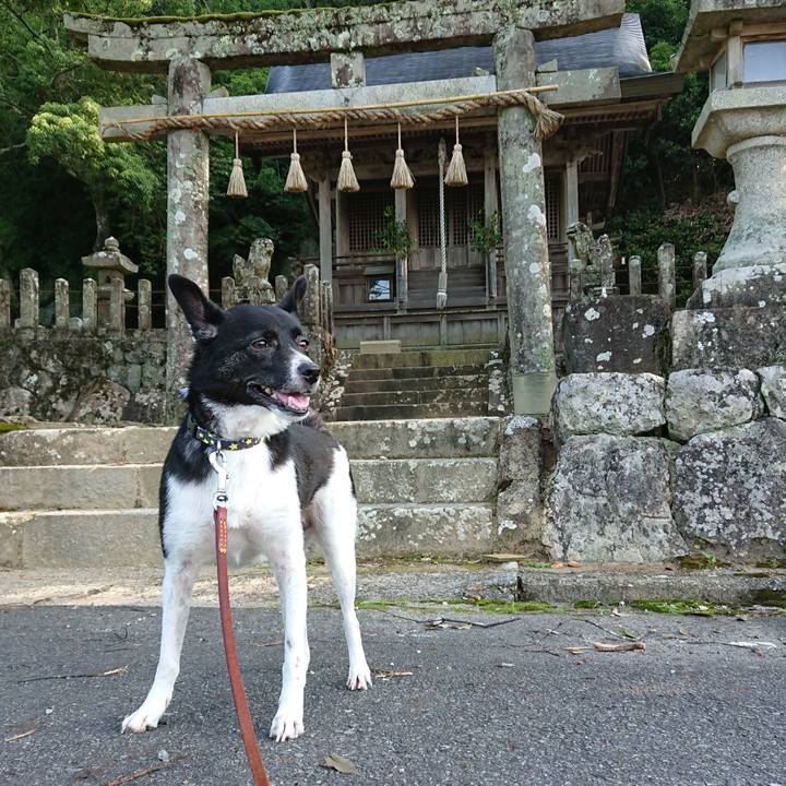 0693b70e f6b4 4d7c 9694 2d132ecf37f9 1531526365548