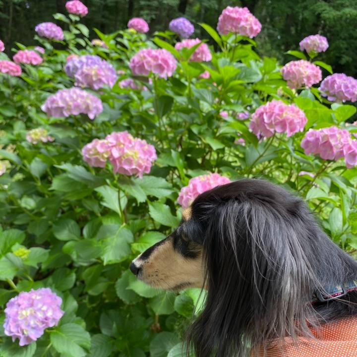 0693cdaa e1dc 4981 89ec de12dca1fa2b 1749369000386