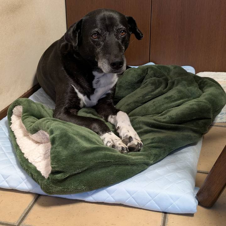 0693ec13 b9b0 48f7 875c 8bbac3857fda 1753650483775