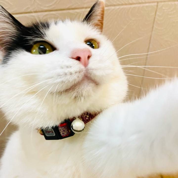 06940526 11c3 4f2a b612 cf37977952ed 1685802095034