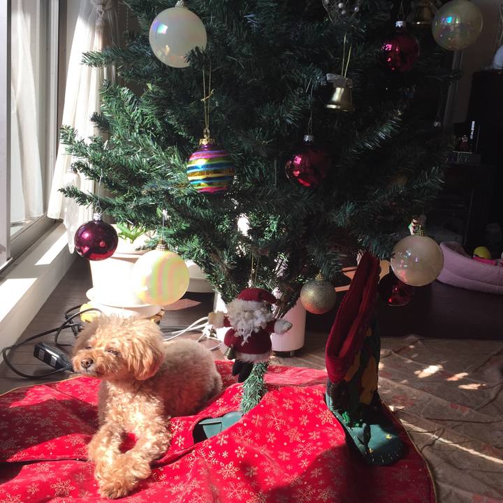 06944990 1ae8 426e bab2 1f4a18b71014 1513637153865