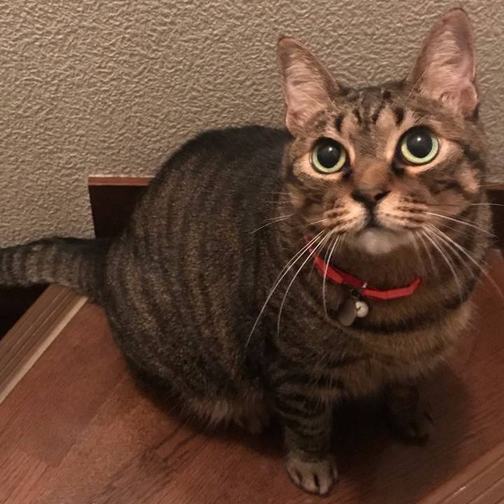 06947507 c3a0 4950 a652 e3501437e914 1648817378741