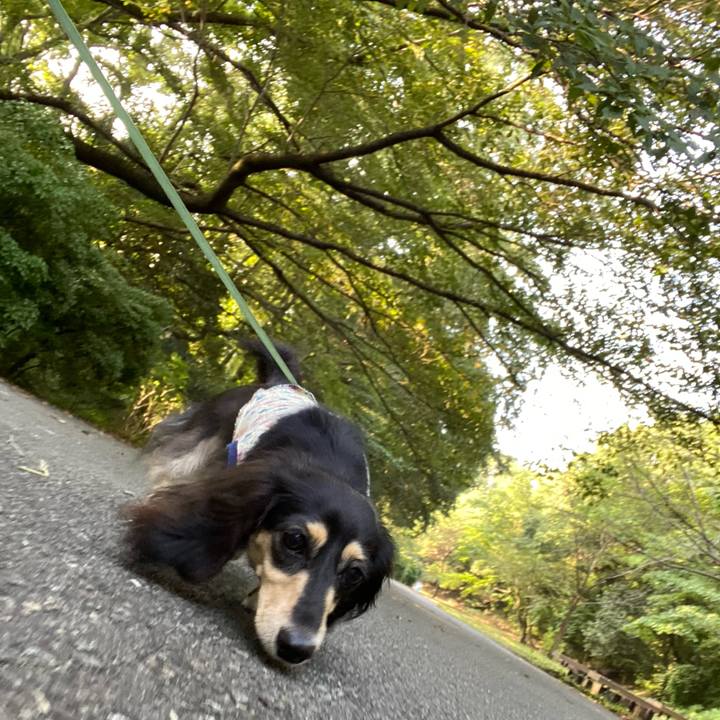 06948f0d 7ec2 4bf0 a032 524414337262 1723594100531