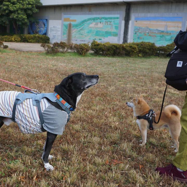 0694b157 282f 48c1 8378 9b4411a58a60 1764206172811