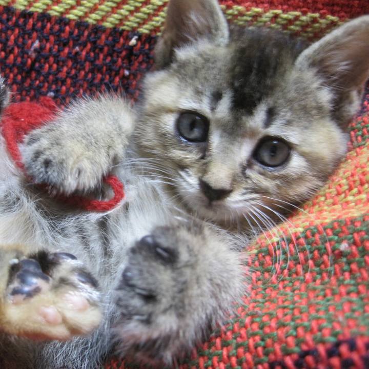 0694ce8f 0277 4656 9d2a 23f046d4484b 1683098881614