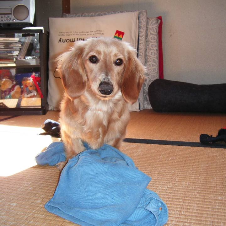 06951781 d780 4005 9ed9 5d78ae69de5d 1764165820147