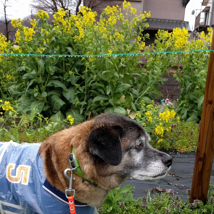 06952190 7633 4313 9d51 fbd2f0e1611b 1521507751217