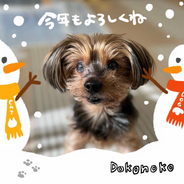 06956995 59b2 4082 848a d0bf3bb3b886 1704076375459