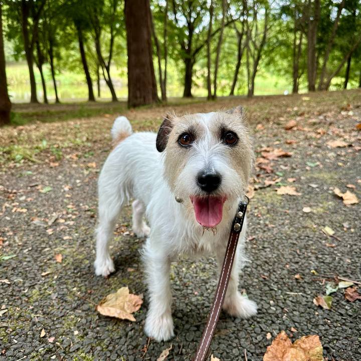 069578d4 7edf 40e8 bd4a 1d8b4e8f2422 1756949496662