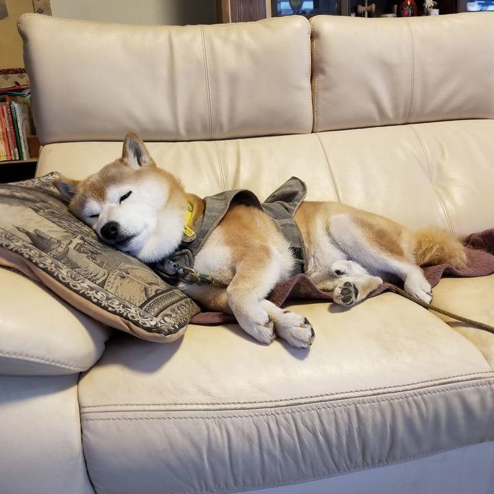 06959f82 98a7 4e22 8b95 13945e7c3117 1678490382670