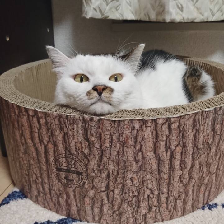 0695a375 1b2f 498a b043 26b6a0fa473f 1566106747163