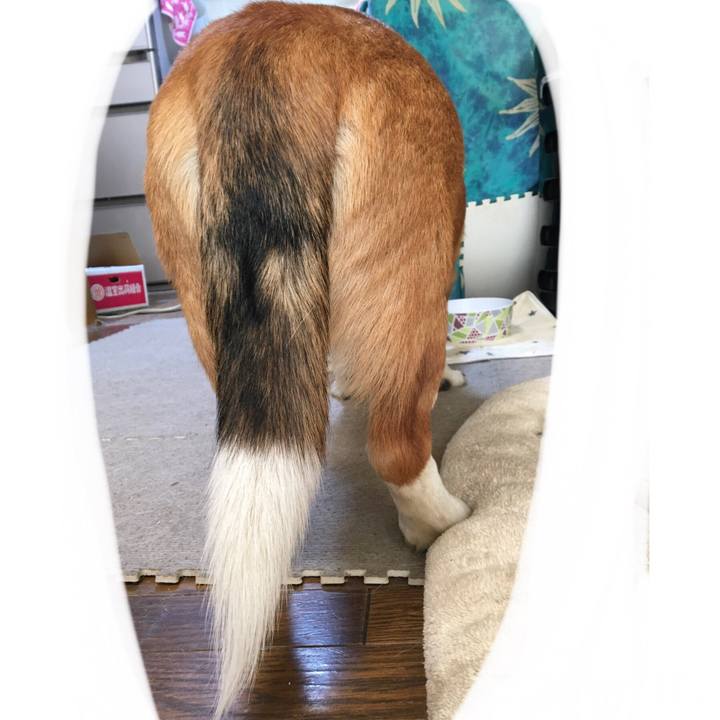 0695c2e0 1384 499d 8e93 e2b3f6e1e5d8 1613694824521