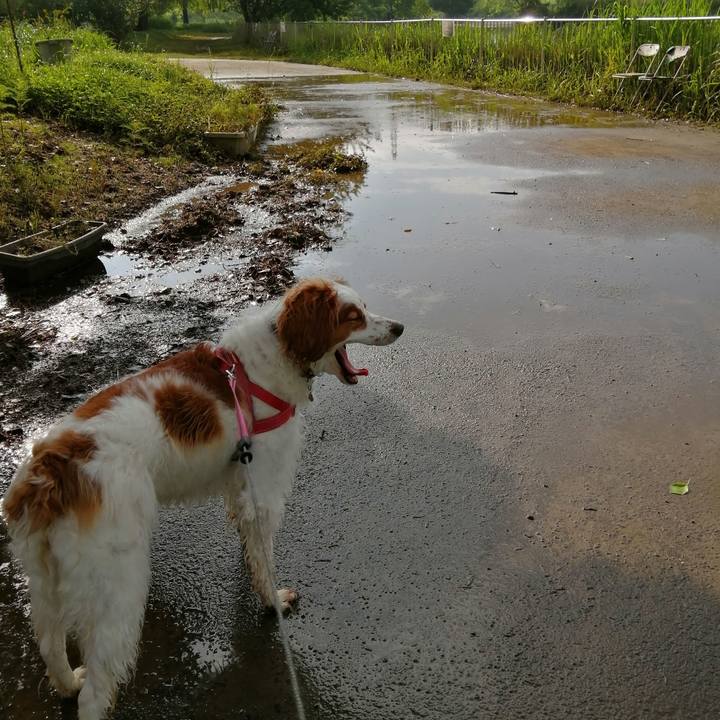 0695c6bb eeeb 421d a79b 9356d13f2e79 1621900623426