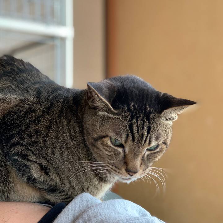 06960435 2f7b 486a 9b4e 0e092a62f1ae 1587345388468