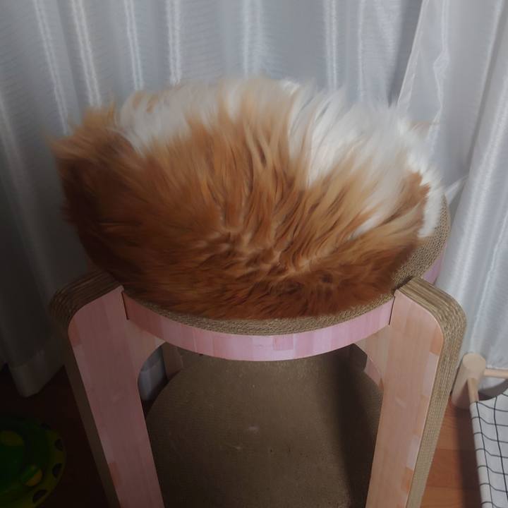 06961fdd 7c53 4018 aee3 8c64949d2eb4 1685326966223