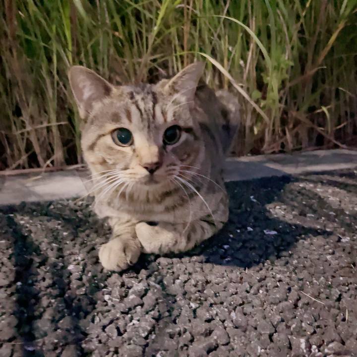 06964b2c 9cd3 49c6 9da1 f99f021fea9f 1697115302393