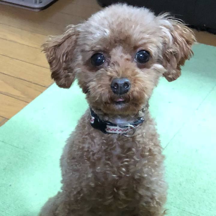 06965222 36da 4fc2 be8d 509327b465a9 1547886559727