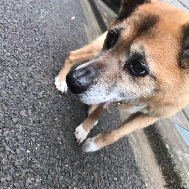 069668b3 e464 4502 a61e 83cee194a22d 1559514005701