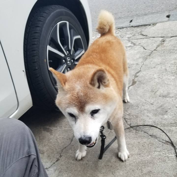 0696be58 c49a 4ce9 a895 6e77aa1b9d0c 1729666174188