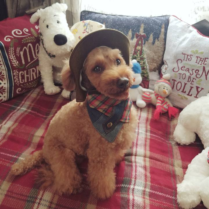 0696cbb5 452e 4778 b61a bfda0a033b3e 1545574862020