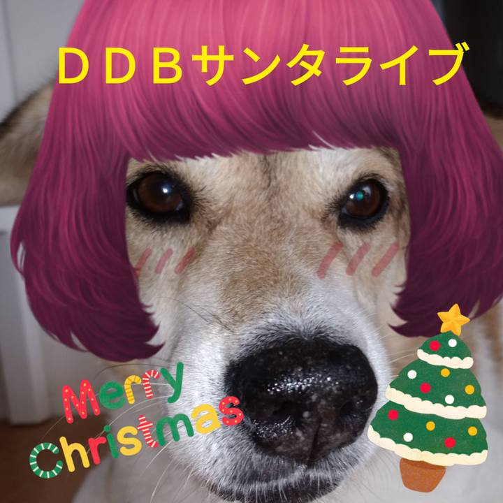 0696ffb1 2c25 470f b0b6 3df2d1706cc8 1577014755614