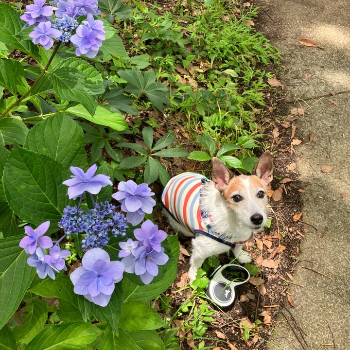 06970a5f d578 48d5 be66 9ad08e66a4ec 1719357486496