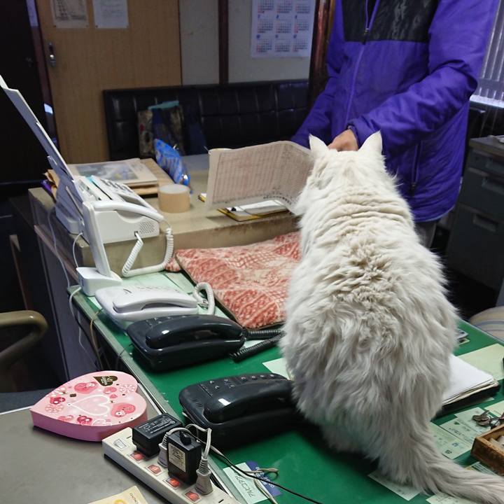 069714eb 39f6 41c8 924c 346d24e94544 1553552785232