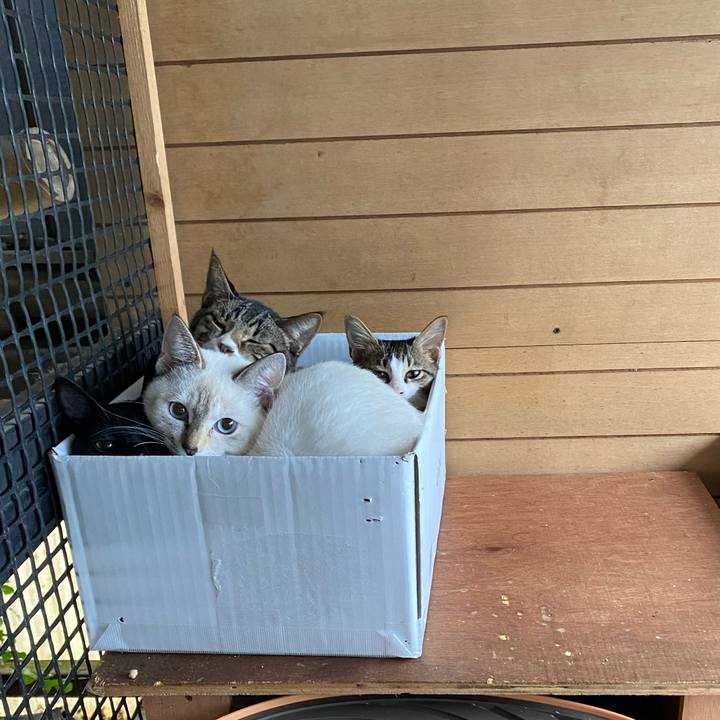 06971ddd 88ad 4726 9f77 c35628beef0c 1634776230322