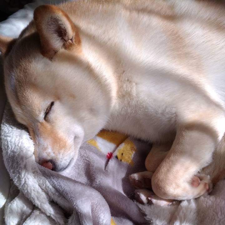 06973a99 7a3e 4320 a2da 11b24aba246b 1586826101730