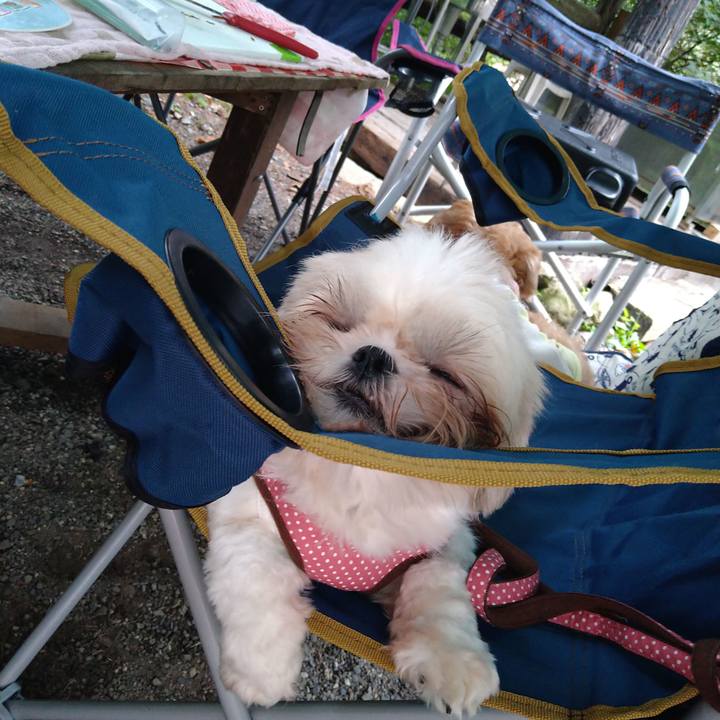 06976105 f79b 4a8b b49c 220c07242b79 1600555193607