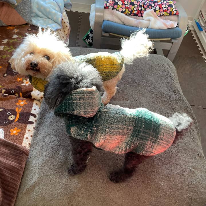 0697b13f d3d8 4ba2 9d29 2c6bab8130ca 1613602446011