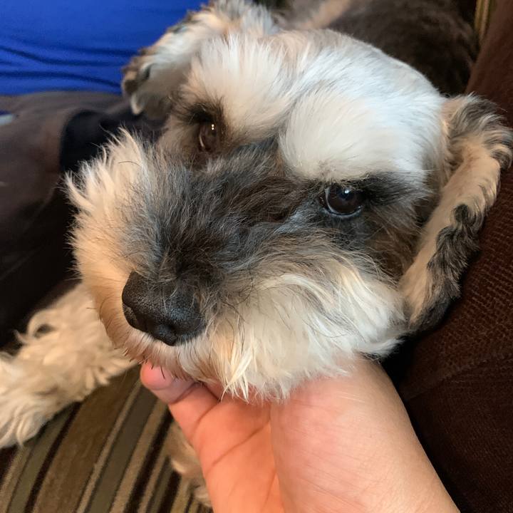 0697b866 0bad 4d3e ab7b ae8f9a3313a9 1625281883706