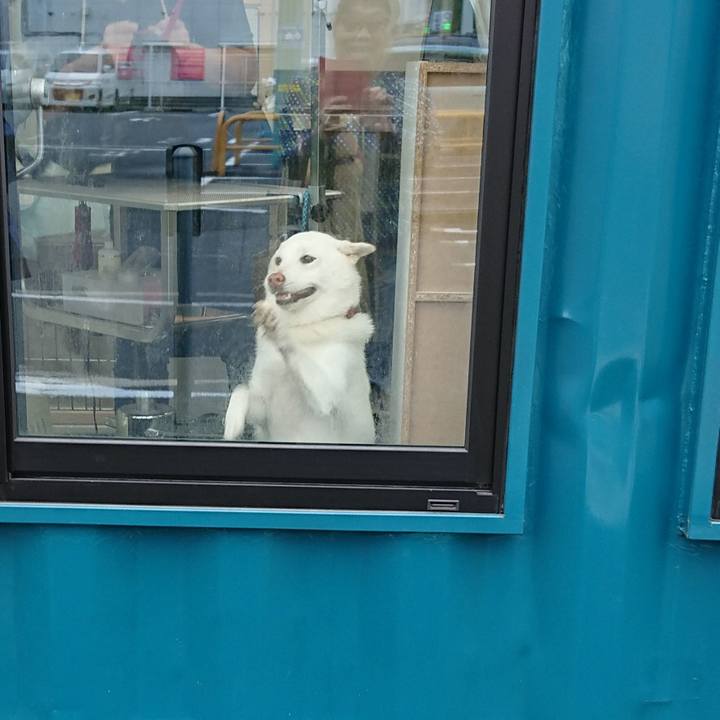 0697c6ce f9fa 4d7f b290 bce9a3f8dc5f 1537932676149