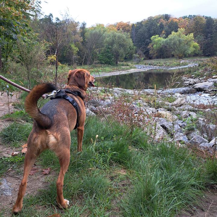 0697d7a0 f11e 4c88 a229 b2328c3cf29f 1760291074219