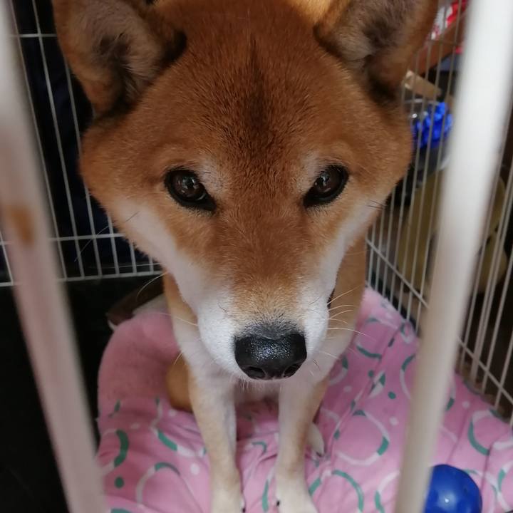 0697dc37 2118 4b4c bc2b a9d89c32d34d 1606874133931