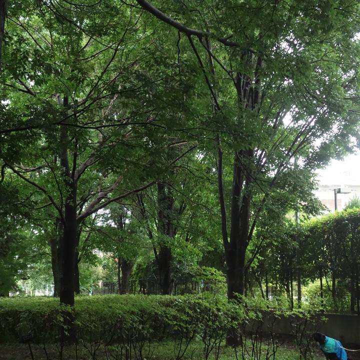 0697dffe 2f56 469a 8a7d 040589fc5b27 1686530220651