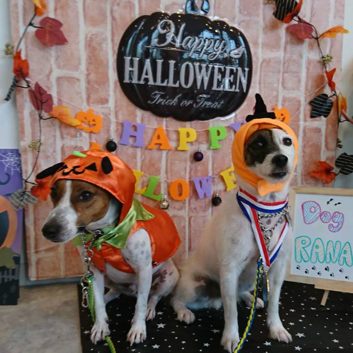 0697e809 e7f8 48b7 805c 3726c7927caf 1568456773833