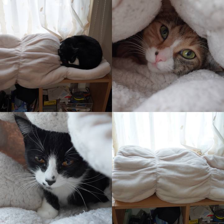 0697fd02 c5a5 443d 9c55 770e24f08287 1610097685985