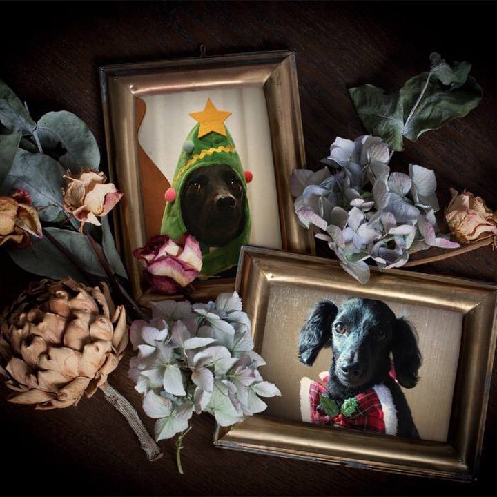 0698568c d95d 4503 95ca a7e3ae4033b6 1513463563615