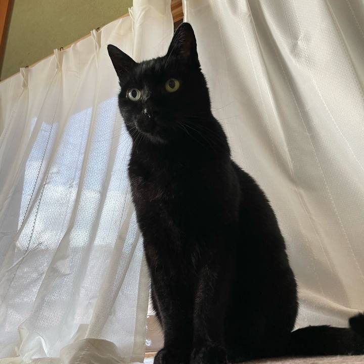 06988f1c b52e 4893 8315 979636278b65 1643595456288