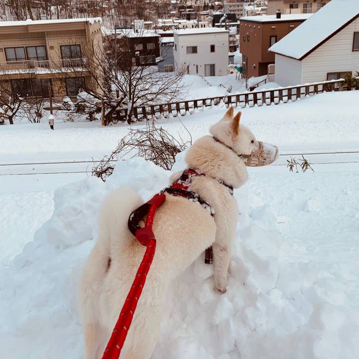 0698af5a eabb 4f04 9356 5757408d923e 1641604413041