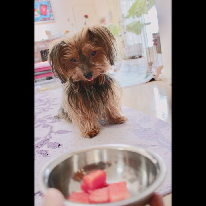 0698b42e b5e0 4a0b 8d7b 4cde5b9ebea0 1532071236178