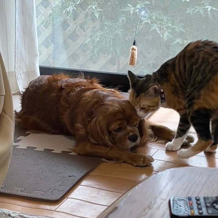 0698de70 95bc 4bca a089 6b0b55797596 1668295766475