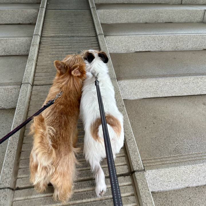 0698e440 ffb0 4f09 929a e2276fcb3020 1728227141540