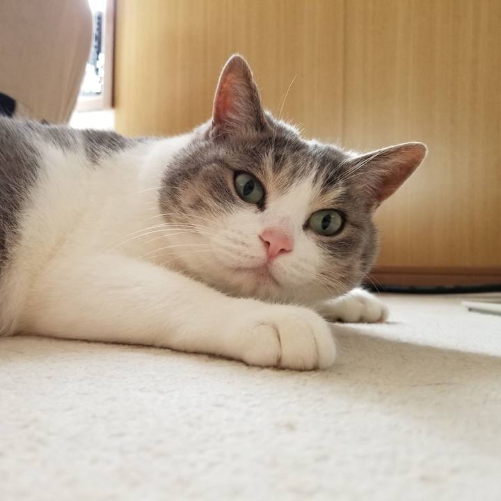 0698fc25 5b2b 4623 aad4 2c969837a702 1655902324304