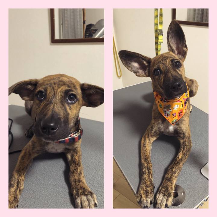 069909f2 8dd6 4ee3 bcc8 3aaf4a252205 1572017814420