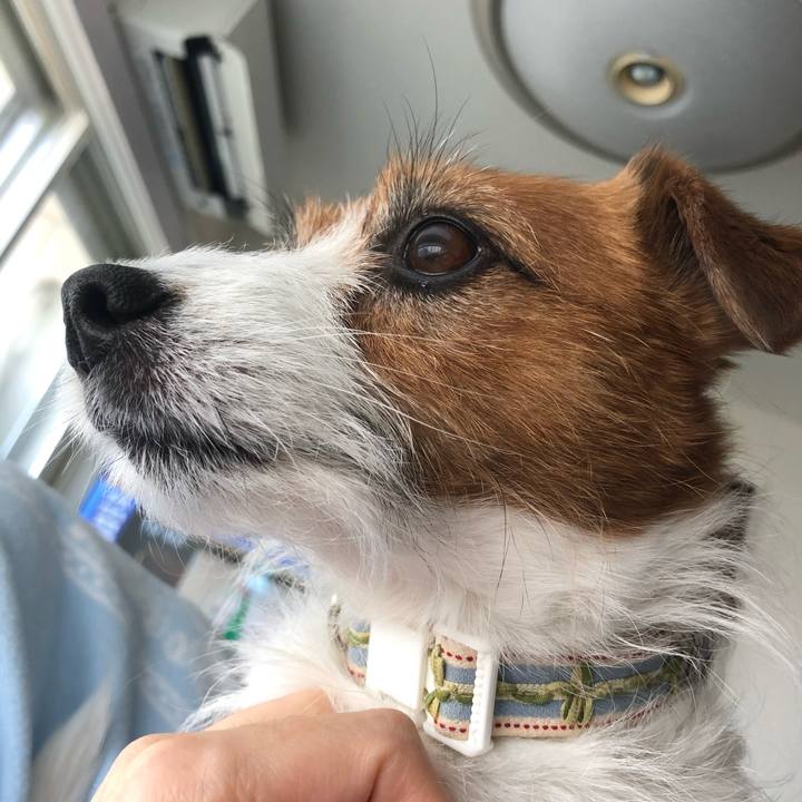 06992382 37cc 418b bdab 08c27041b9de 1586567201428