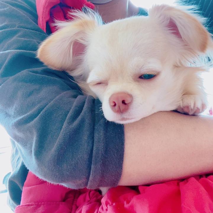 06992680 a199 4d29 9eba 1c9c208772bc 1620961906472