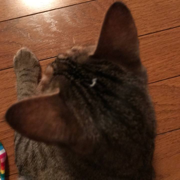 069930a7 7e2b 47ae 8b3e 7f2c2c7dbee4 1589719806495